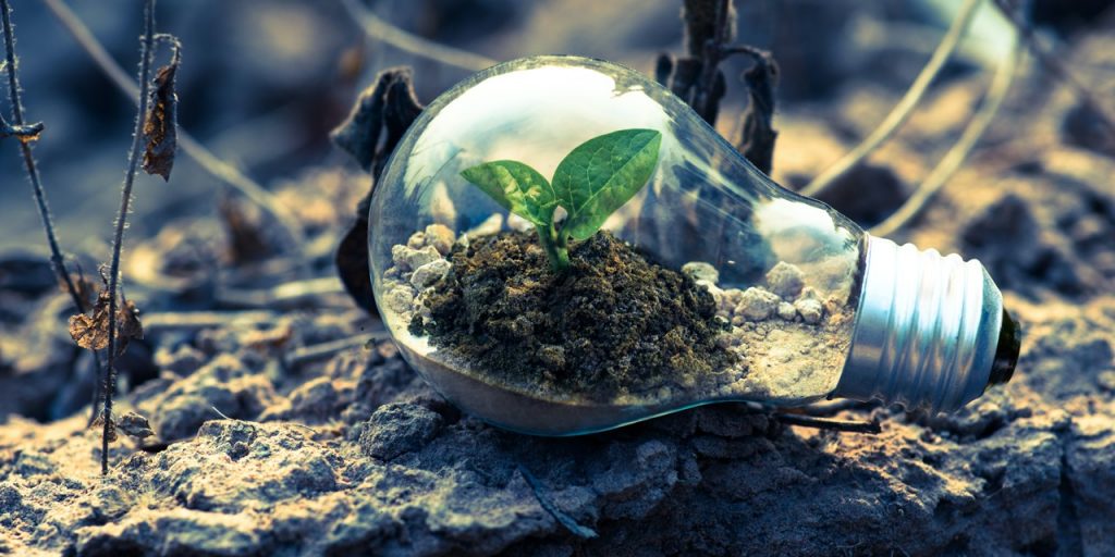 A picture containing a bulb with a small plant inside placed on a grey rock.