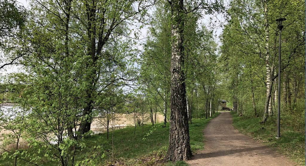 A narrow road and outdoor trail between green forest and the Lake Saimaa. 