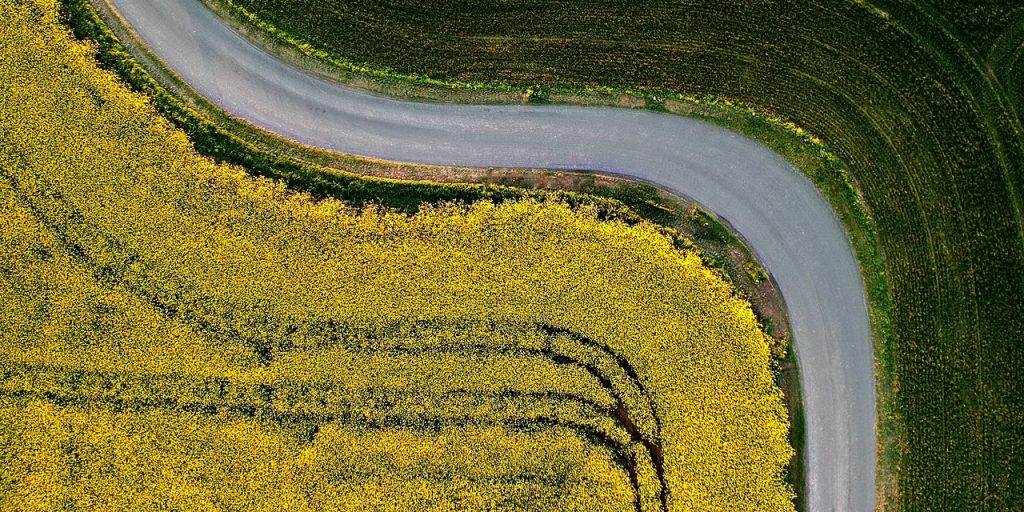 Yellow and green fields and a meandering road from a bird perspective.