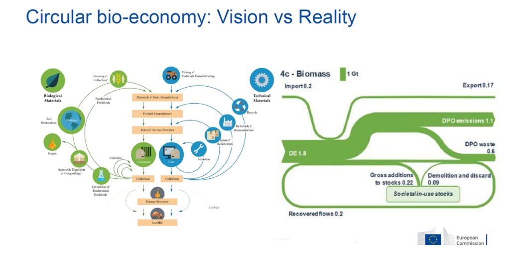 visual overview of material flows in circular economy, on the right, and biomass in Europe flow chart on the right.