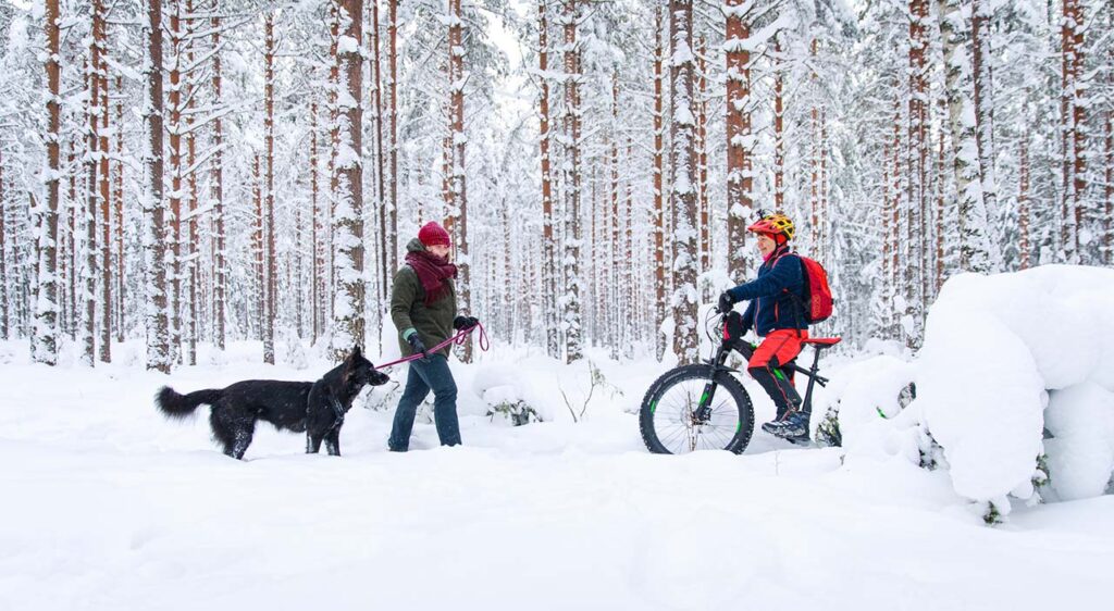[Alt-teksti: Metsää talvella, paljon puunrunkoja taka-alalla. Edessä ulkoilijoita. Nainen taluttaa suurta koiraa ja puhuu vastaan tulleen talvipyöräilijän kanssa.]