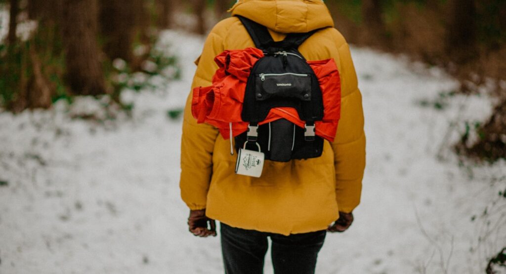 A person with a backpack walking alone in a wintery forest.
