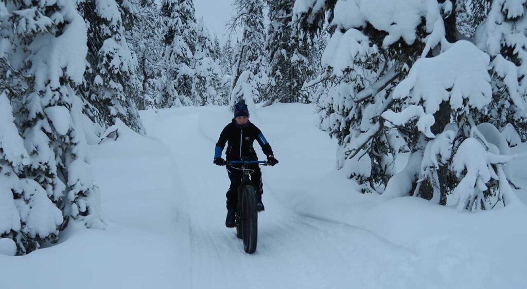 [Alt text: A cyclist on snow between heavily snow-loaded big trees.]