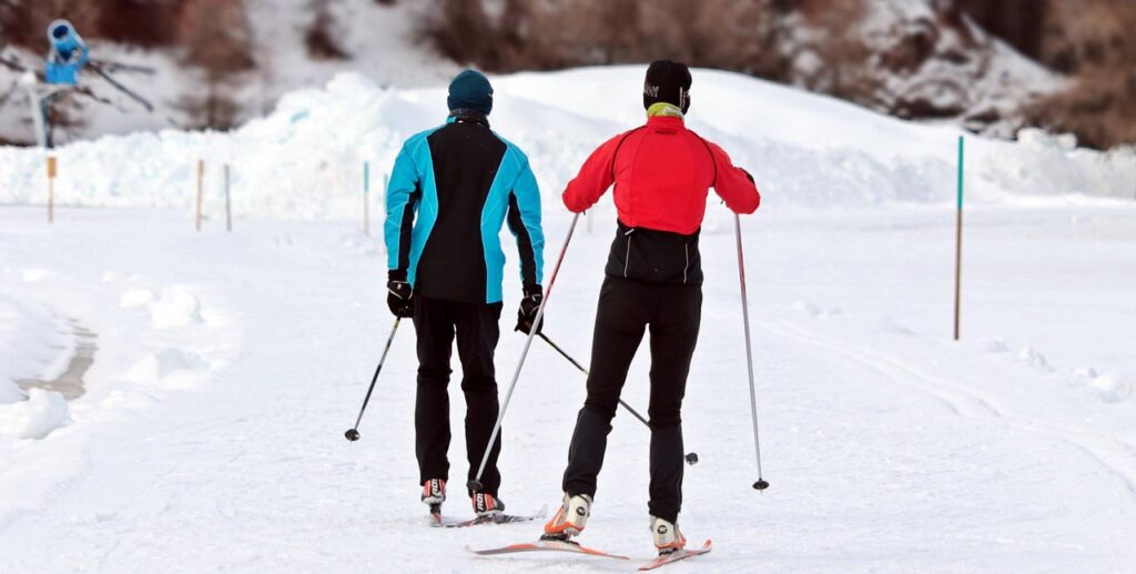 [Alt text: Two persons are skiing.]