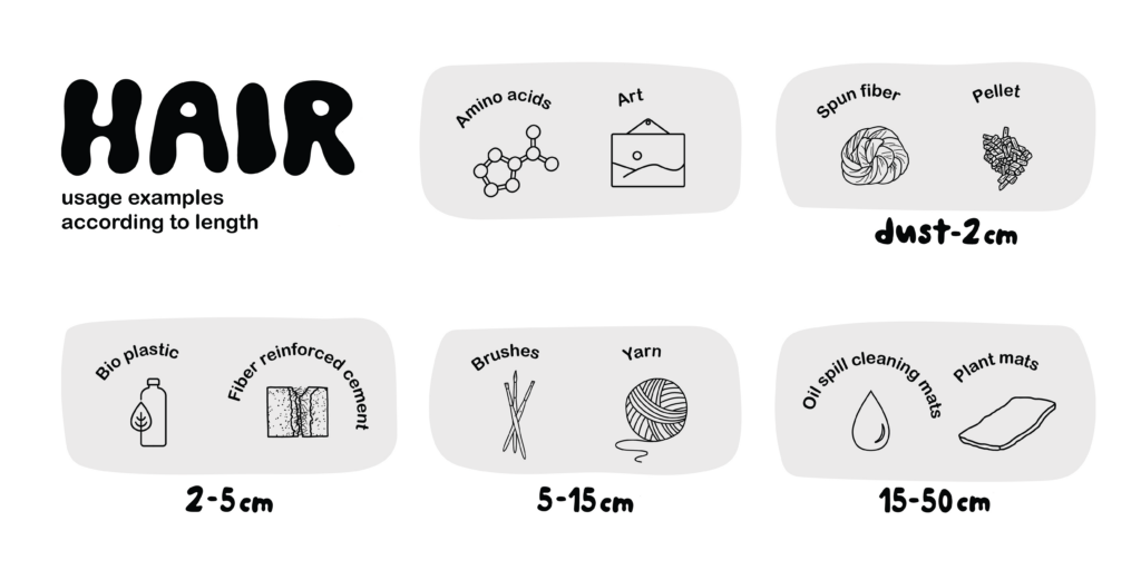 ALT: Illustrated picture of uses for hair of different lengths. Amino acids and art. Dust to 2 cm Spun fiber and pellet. 2-5 cm bio plastics and fiber reinforced cement. 5-15 cm brushes and yarn. 15-50 cm oil spill cleaning mats and plant mats.