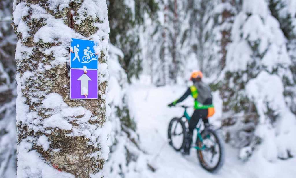 [Alt-teksti: luminen metsä, jonka keskellä maastopyöräilevä hahmo. Etualan puunrunkoon on kiinnitetty pyöräväylää osoittava pieni kyltti.]