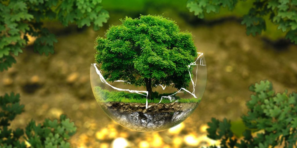 In the centre of the picture, there is a half glass-like bowl evoking the planet Earth. Inside is a tree with many green leaves and a sectional view of the soil. The picture’s background is blurred with tree leaves framing the picture.