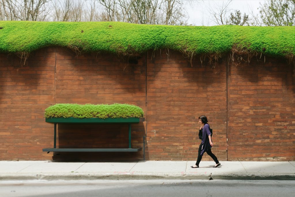 Nainen kävelee betonikadulla punatiilisen muurin vieressä, vihreää kasvustoa kasvaa muurin päällä sekä seinässä olevan istuimen katon päällä.
