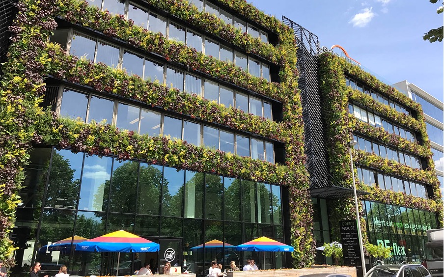 A modern office building features a lush green wall designed by Sempergreen, with vibrant plants covering the facade in horizontal rows. The building has large windows reflecting a blue sky and nearby trees. 