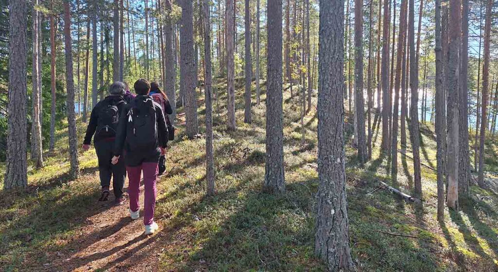 [Alt-teksti: metsäinen rinne ja metsäpolku, aurinko paistaa korkeiden puunrunkojen välistä, polulla kulkee reppuselkäisiä vaeltajia.]