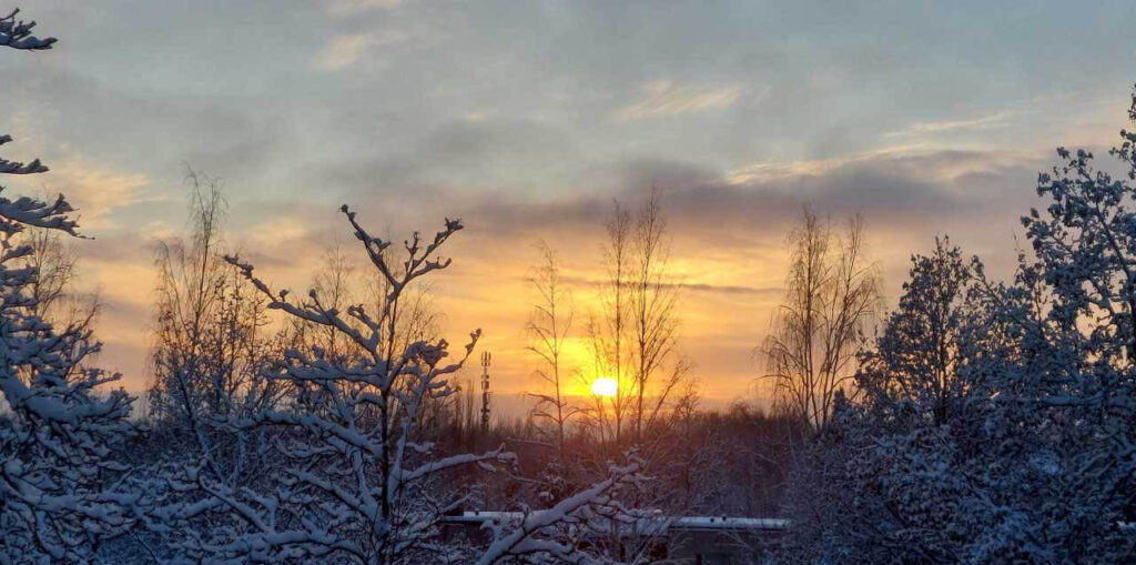 [alt-teksti: Aurinko kajastaa pilvien välistä. Etualalla lumisia puita.]