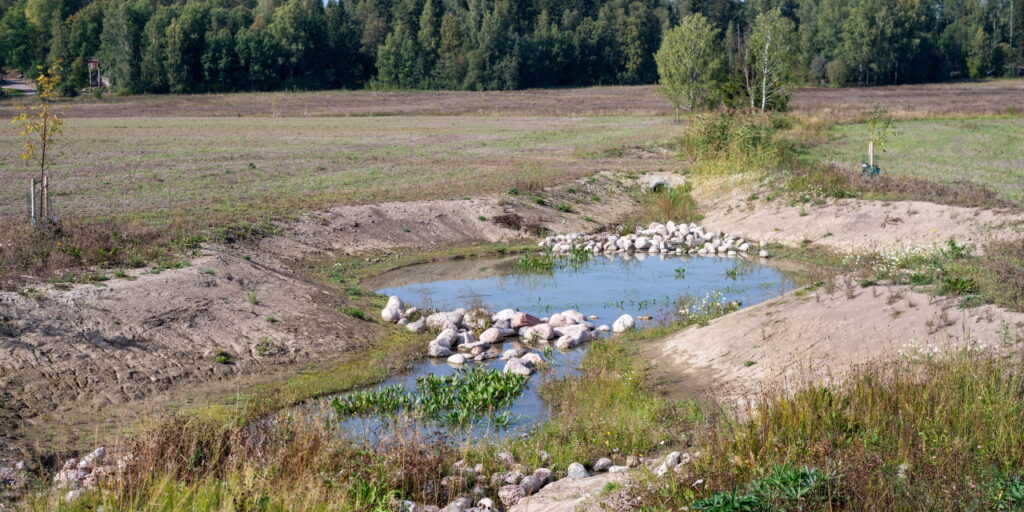 Peltojen keskelle kaivettuun ojaan on tehty kaksi levennystä, joiden välissä on vaaleita kiviä. Pelloilla kasvaa hieman oraita. Pellot rajoittuvat metsään.