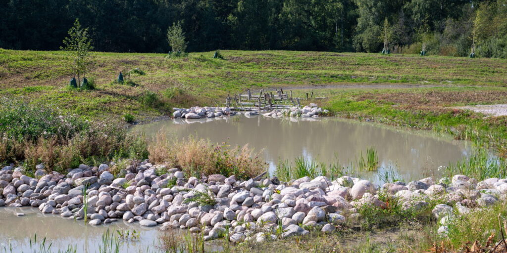 Etualalla kosteikkoallas, joka rajoittuu kiviseen janaan. Janan takana toinen kosteikkoallas, jonka takana kiviä ja vaakaan asetettuja koivuja.