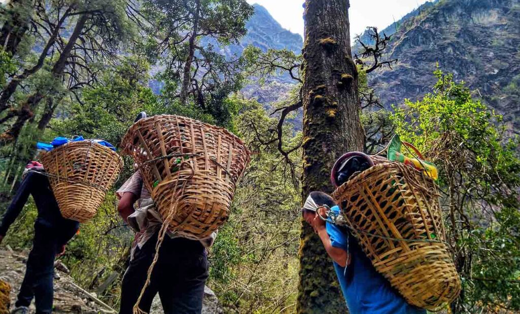 [Alt text: mountains and forest, three persons rise on a path, carrying large baskets on their back.]