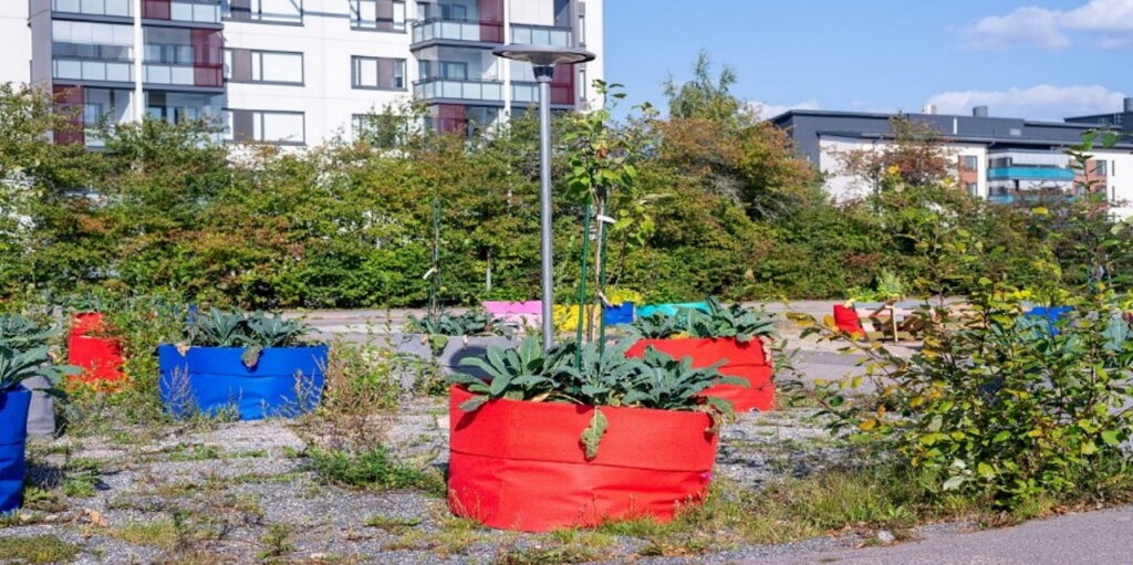 Large, colourful sacks with plants and a lamp on sandy ground. Trees and buildings in the background.