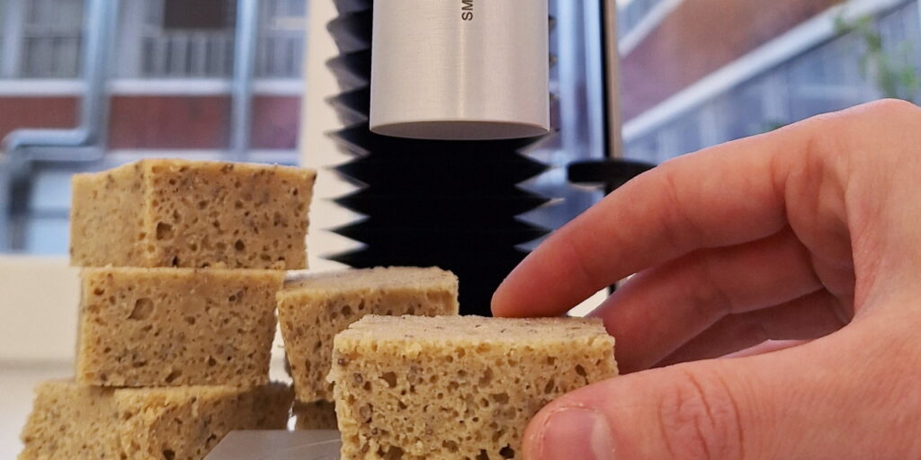 A hand holding a bread sample