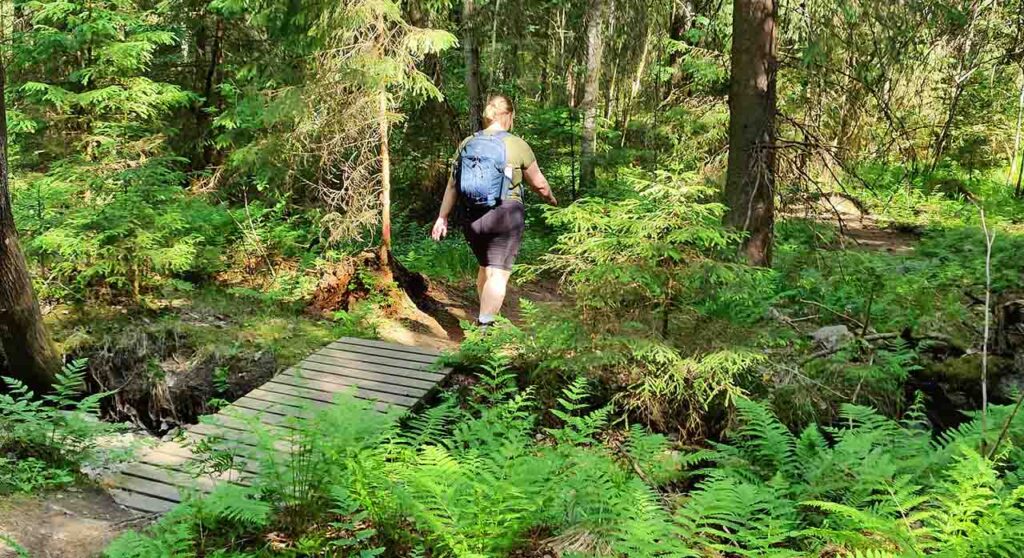 [Alt-teksti: rinkkaselkäinen henkilö kävelemässä metsässä kesäiseen aikaan.]