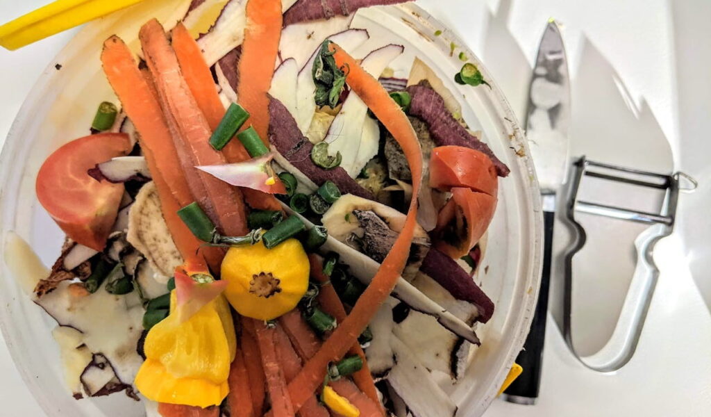 Colourful kitchen scraps in a white plastic container.