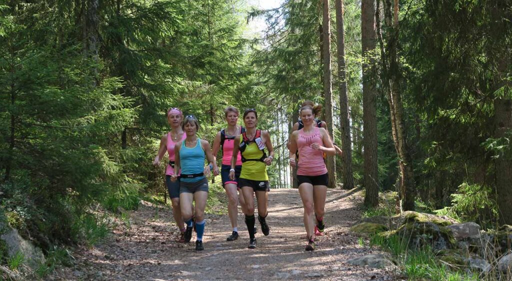 [Alt-teksti: ryhmä juoksijoita treenivaatteissaan hölkkäämässä metsätiellä, ympärillä havupuiden runkoja.]