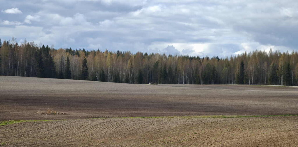 Aurinkoinen kevätpeltomaisema. Etualalla kynnetty pelto ja taustalla puut, joissa ei vielä lehtiä.