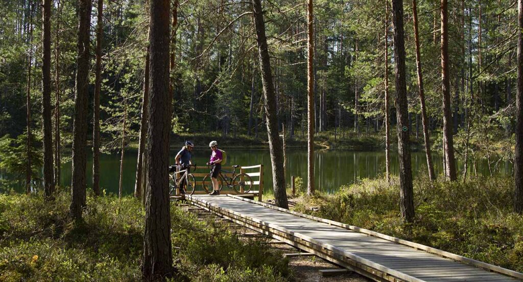 [Alt-teksti: laudoitettu pitkospuu johtaa metsälammelle, lammen äärellä kaksi henkilöä seisoo ja katselee, vieressä retkipyörät.]