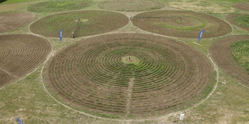 An aerial view of a field with multiple circular crop patterns. Two blue flags with white text are visible near the circular fields. The field is divided into several sections, each containing a circular crop pattern at different stages of growth.