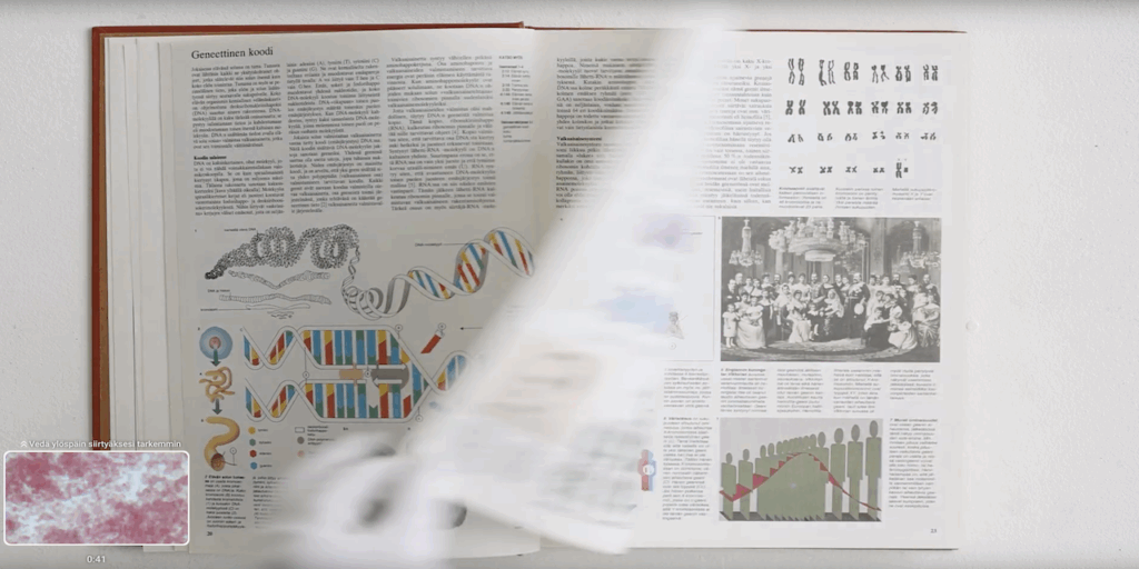 Kuvakaappaus 7X Summitissa esillä olleesta Linnea Suutarisen valokuvauksen installaatiosta.