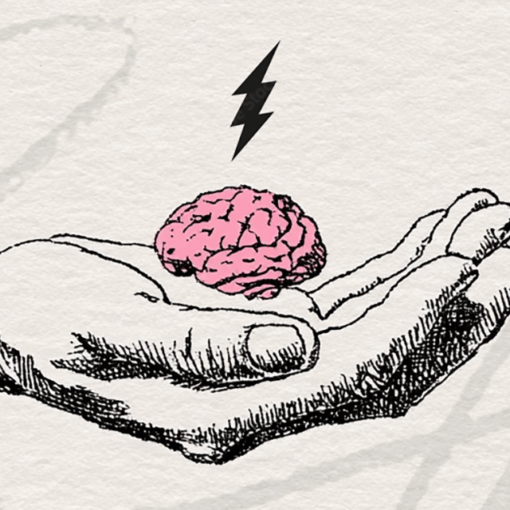 Pienet aivot salamoivat kämmenellä taustalla piirrosluonnoksia.