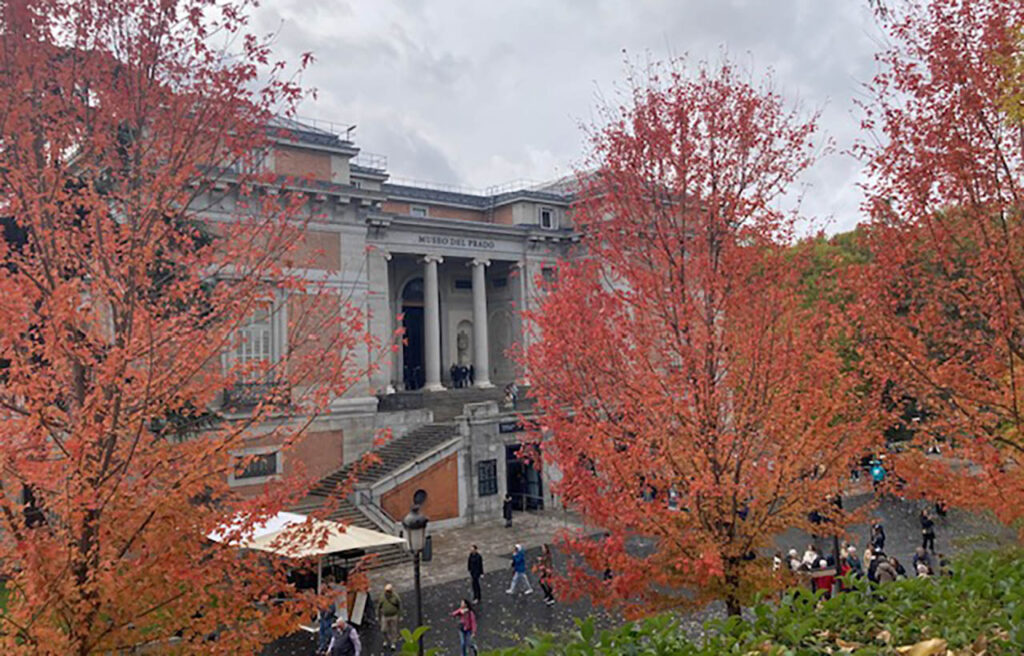 [Alt-teksti: suuri museorakennus syysruskan värittämien lehtipuiden takana.]