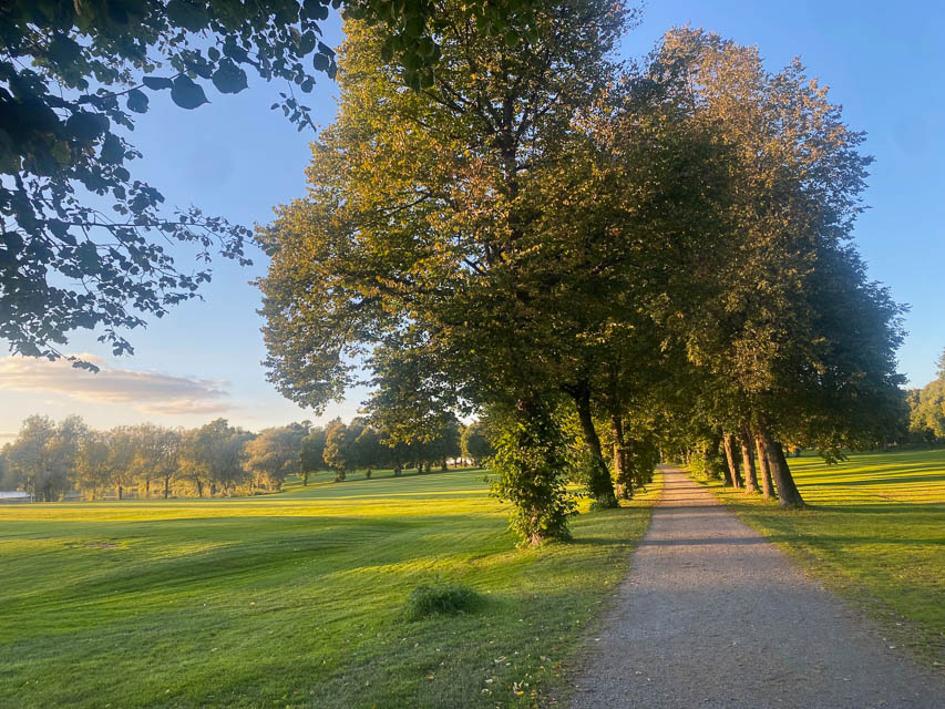 [Alt-teksi: vihreä puistoalue kesällä.]