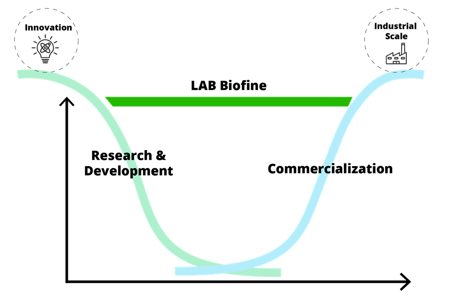 A diagram that shows that between research and development phase and commercialization phase there is the "valley of death".