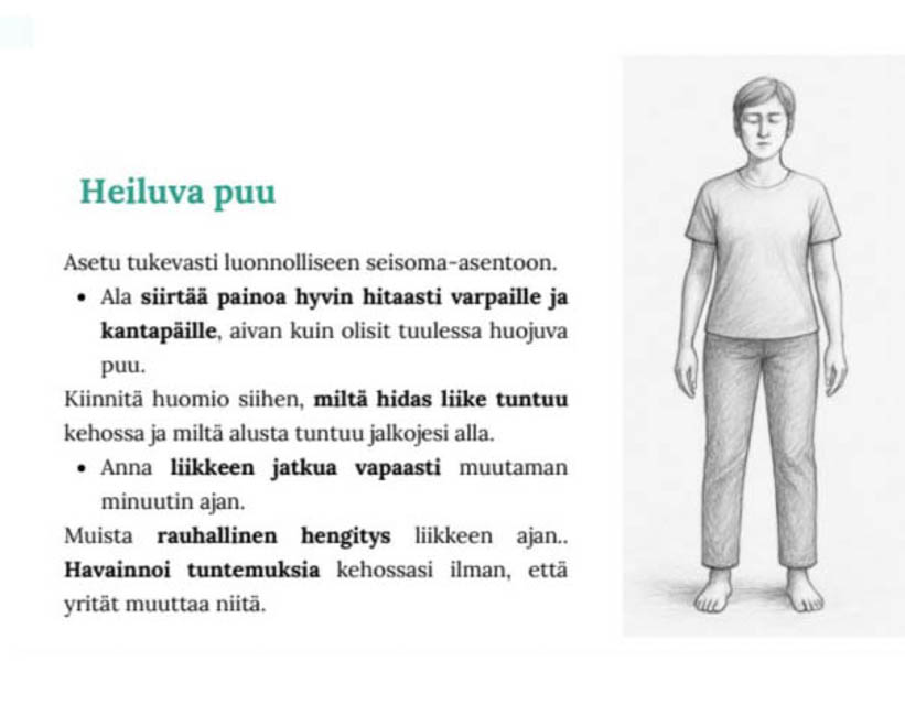 [Alt-teksti: Heiluva Puu - harjoituksessa on kolme vaihetta. 1. Asetu tukevasti seisoma-asentoon ja ala siirtää hyvin hitaasti painoa varpaille ja kantapäille. 2. Kiinnitä huomiota miltä hidas liike tuntuu kehossa ja anna liikkeen jatkua muutaman minuutin ajan. 3. Muista rauhallinen hengitys. Havainnoi tuntemuksiasi, mutta älä yritä muuttaa niitä.]