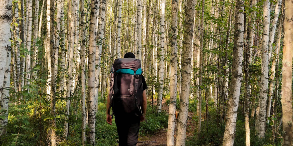 [Alt-teksti: henkilö koivumetsässä suuri reppu selässään.]