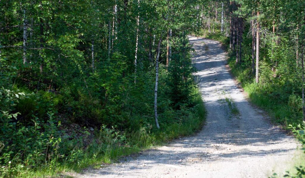 [Alt-teksti: kesäinen maaseututie kaartuu metsäisten alueiden keskellä.]