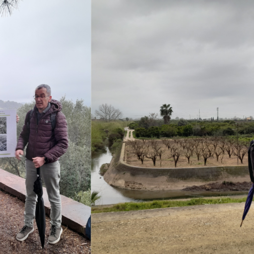 On left, There are four people standing outside. One is holding a sign presenting a project and other one is explaining. On right, a ravine with cultivated crops behind it.