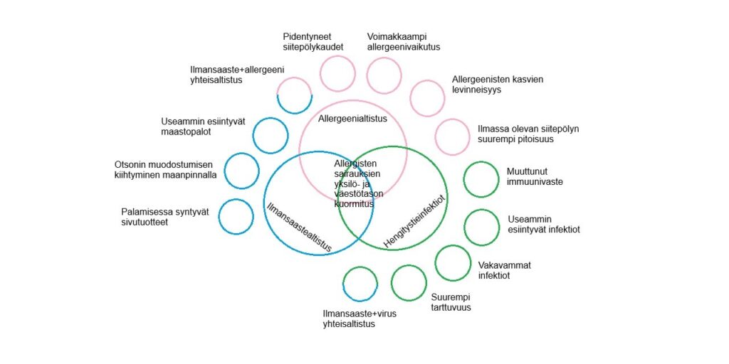 Allergisten sairauksien yksilö- ja väestötason kuormitukseen liittyy kolme pääpiirrettä: allergeenialtistus, hengitystieinfektiot ja ilmansaastealtistus. Allergeenialtistukseen liittyy pidentyneet siitepölykaudet, voimakkaampi allergeenivaikutus, allergeenisten kasvien levinneisyys ja ilmassa olevan siitepölyn suurempi pitoisuus. Hengitystieinfektioihin liittyy muuttunut immuunivaste, useammin esiintyvät sekä vakavammat infektiot, suurempi tarttuvuus sekä ilmansaasteiden kanssa yhteisvaikutuksena virusten ja ilmansaasteiden yhteisaltistus. Ilmansaasteisiin liittyy palamisessa syntyvät sivutuotteet, otsonin maanpinnalla kiihtyvä muodostuminen, useammin esiintyvät maastopalot ja allergeenien ja ilmansaasteiden yhteisaltistus.