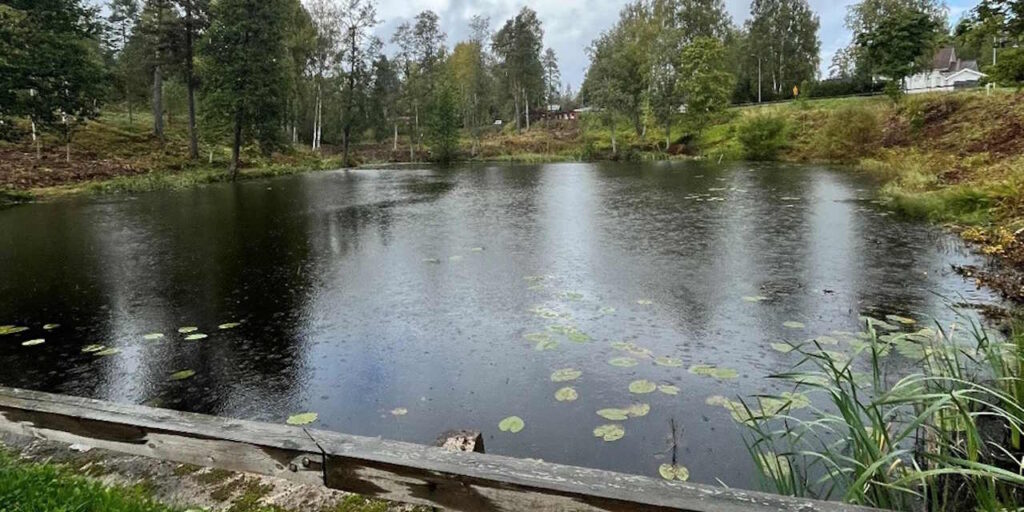 Lampi puistossa. Etualalla puinen kaide.