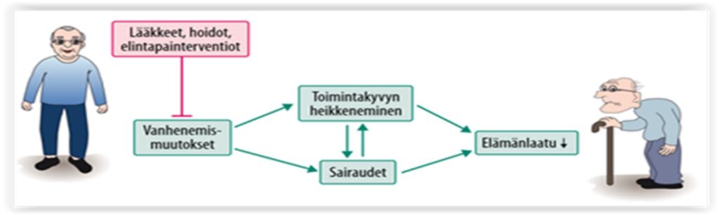 Kaaviokuva