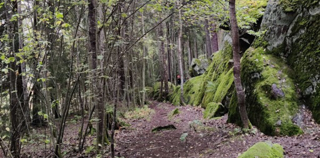 Metsäinen polku Hollolan Havukalliolla kallioiden ja puuston ympäröimänä.